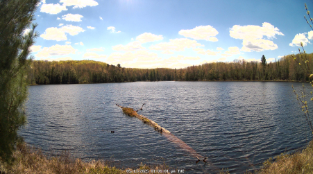 Image from 2025-05-13