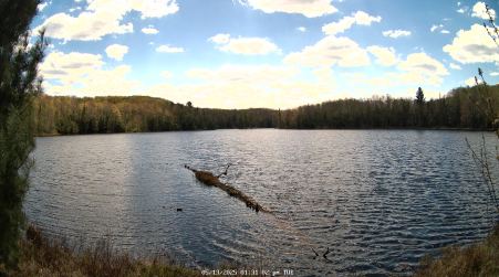 Image from 2025-05-13