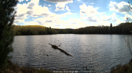 Image from 2025-05-13