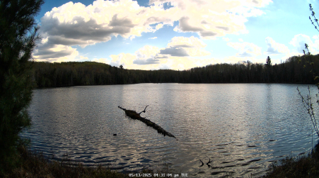 Image from 2025-05-13