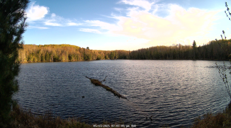 Image from 2025-05-13