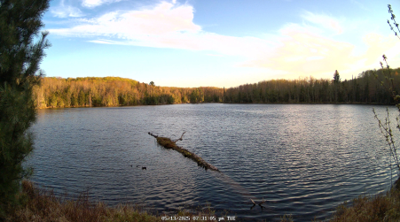 Image from 2025-05-13