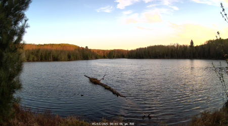 Image from 2025-05-13