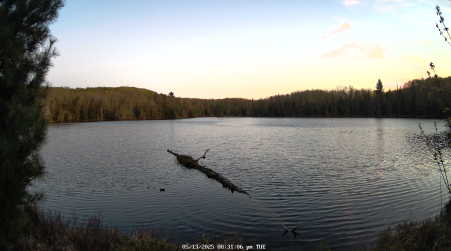 Image from 2025-05-13