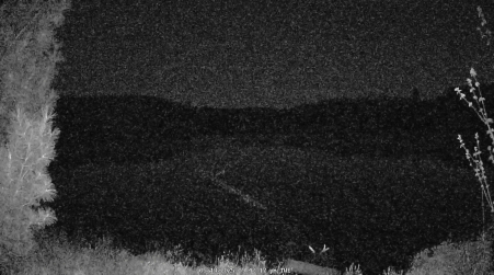 Image from 2025-05-13
