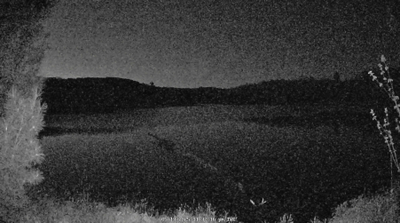 Image from 2025-05-13