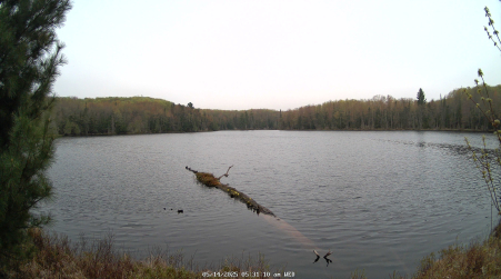 Image from 2025-05-14