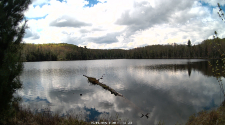 Image from 2025-05-14