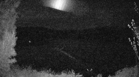 Image from 2025-05-14