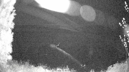 Image from 2025-05-15