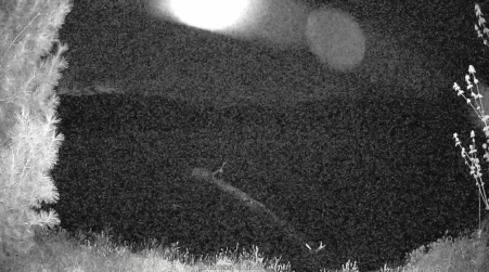 Image from 2025-05-15