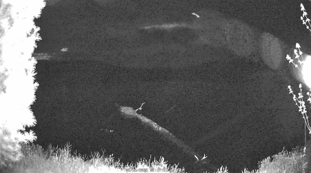 Image from 2025-05-15