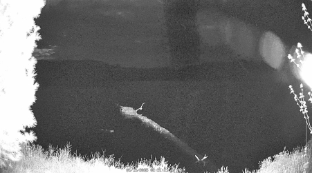 Image from 2025-05-15