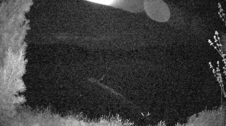 Image from 2025-05-15