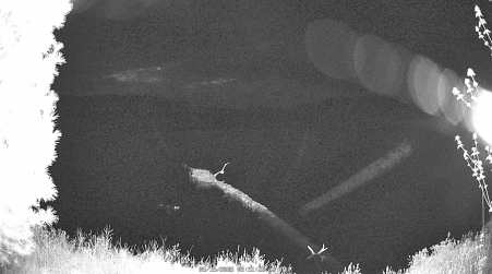 Image from 2025-05-15