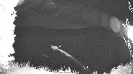 Image from 2025-05-15