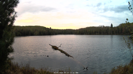 Image from 2025-05-15