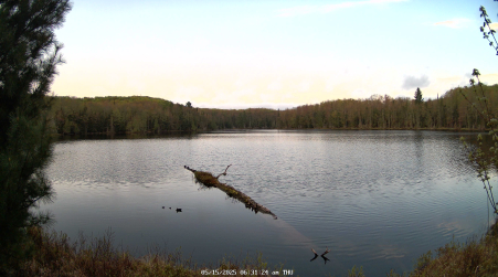 Image from 2025-05-15