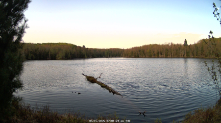Image from 2025-05-15