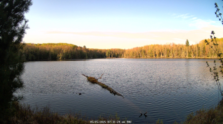 Image from 2025-05-15