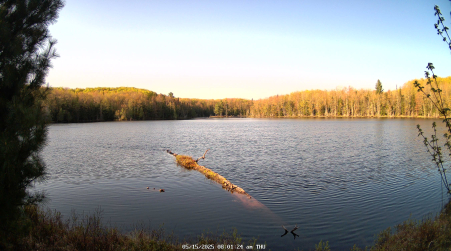 Image from 2025-05-15