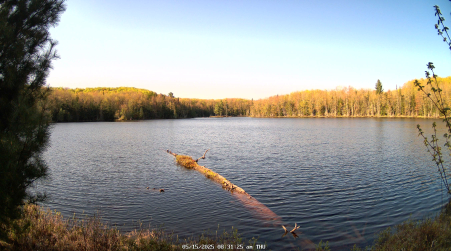 Image from 2025-05-15