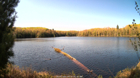 Image from 2025-05-15