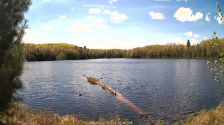 Image from 2025-05-15
