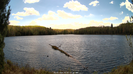 Image from 2025-05-15
