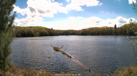 Image from 2025-05-15
