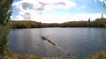 Image from 2025-05-15