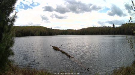 Image from 2025-05-15