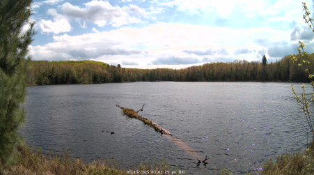 Image from 2025-05-15