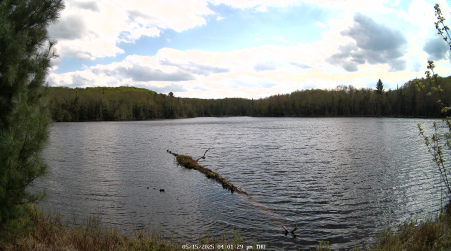 Image from 2025-05-15