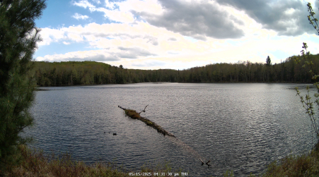 Image from 2025-05-15