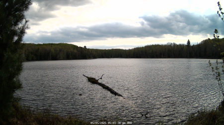 Image from 2025-05-15