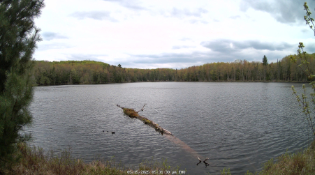 Image from 2025-05-15
