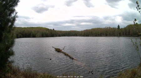 Image from 2025-05-15