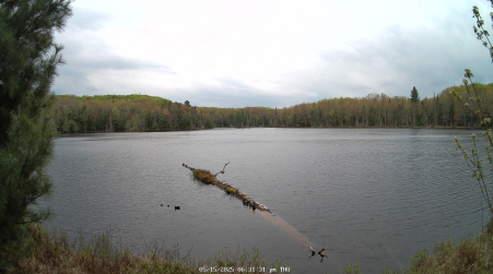 Image from 2025-05-15