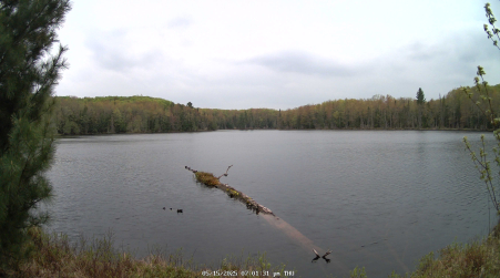 Image from 2025-05-15