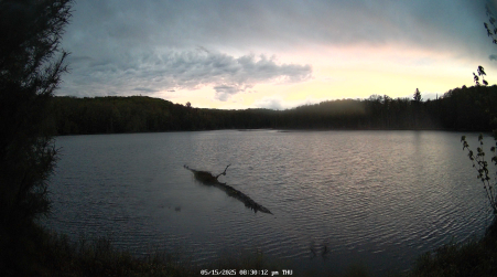 Image from 2025-05-15