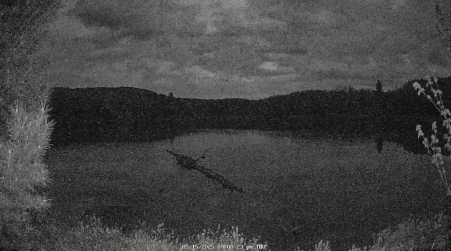 Image from 2025-05-15