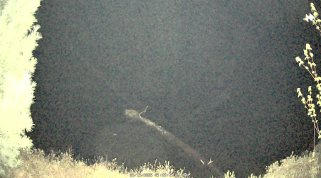 Image from 2025-05-15
