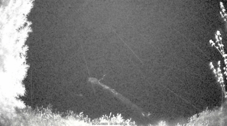 Image from 2025-05-15
