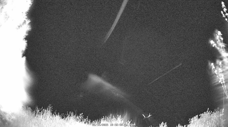 Image from 2025-05-15