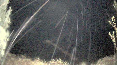 Image from 2025-05-15