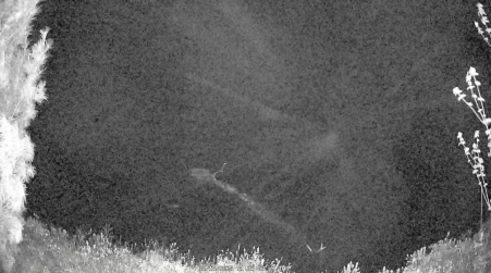 Image from 2025-05-15