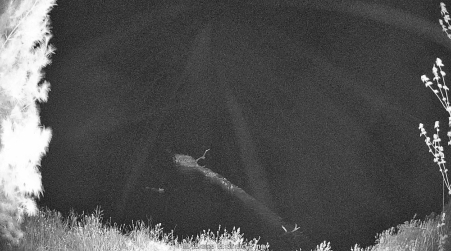 Image from 2025-05-15