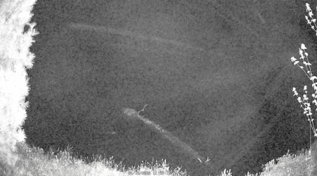 Image from 2025-05-15