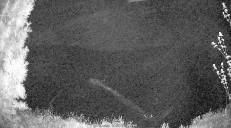 Image from 2025-05-16